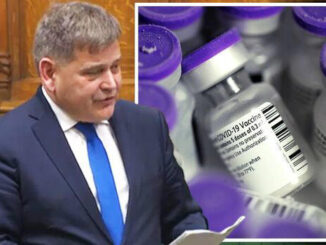 Tory Mp Andrew Brigden