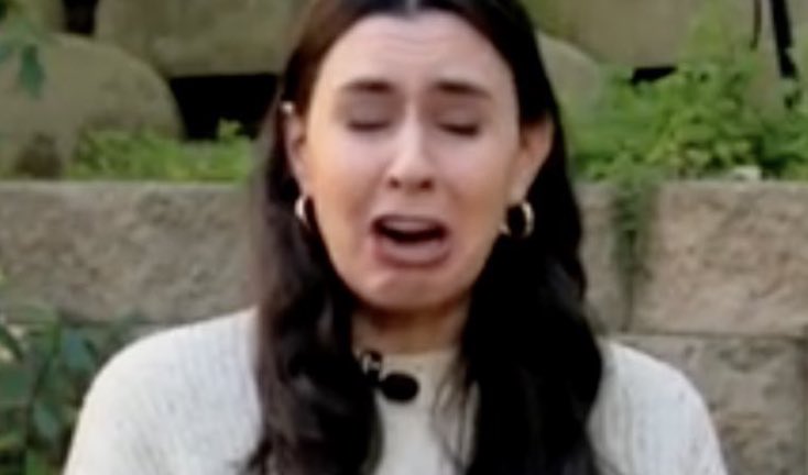 Leftists explode with rage after Taylor Lorenz gets banned from Twitter