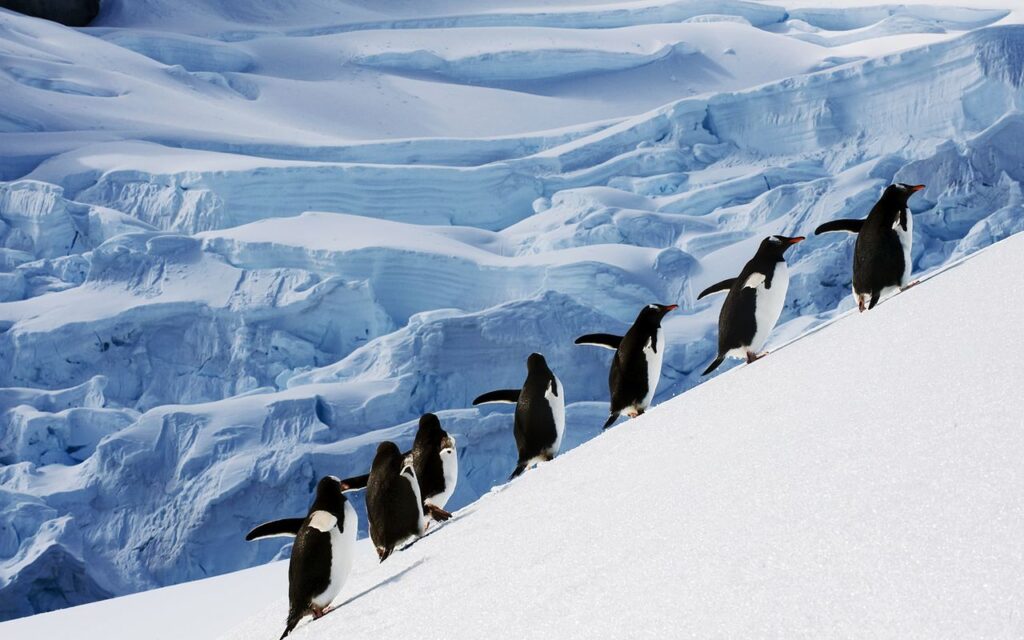 Antarctica