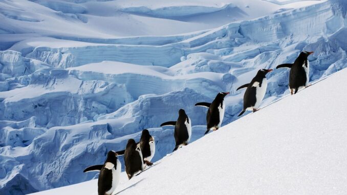 Antarctica