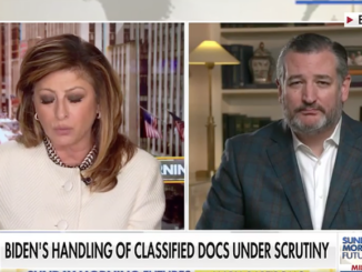 Ted Cruz calls on FBI to raid Hunter Biden's home