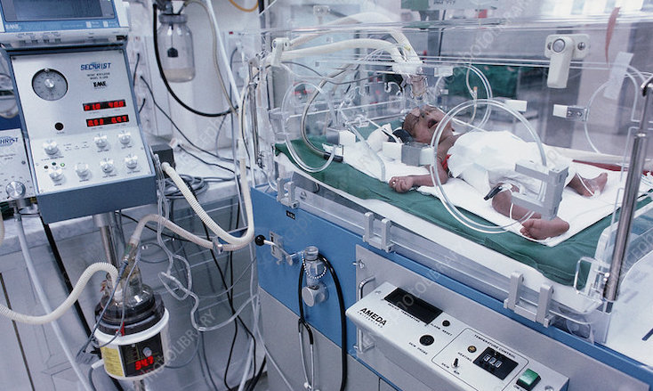 6 month old baby dies after receiving four vaccines