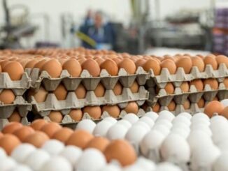 Scientists warn eggs are causing blood clots