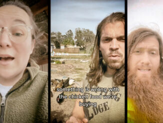 Chicken farmers warn of plot to poison animal food supply as part of food shortage agenda by the globalist elite