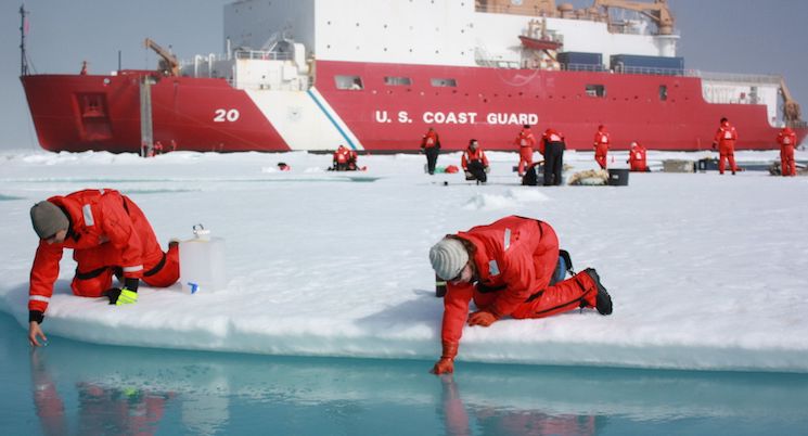 Scientists confirm climate change is a scam