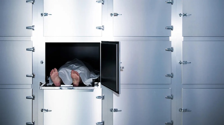 Peer reviewed study reveals 12 million dead from COVID jabs