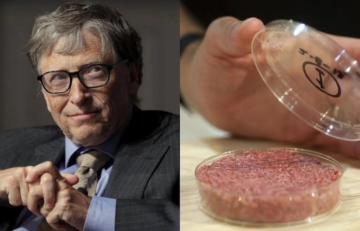 Study finds Bill Gates' lab grown meat causes cancer in humans