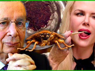 Bug eating agenda is about making humans more susceptible to engineered viruses