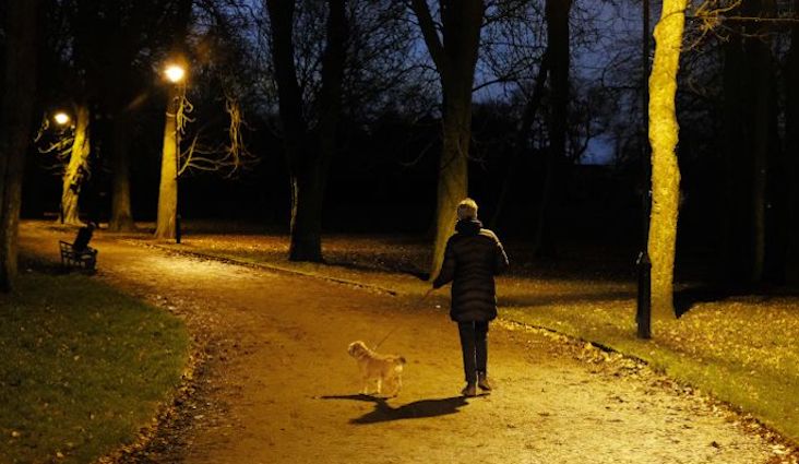 French woman bites off tongue of illegal alien rapist