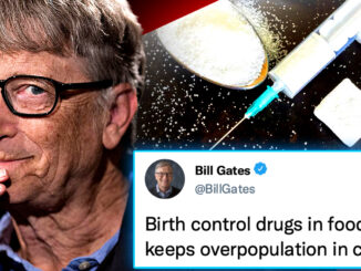 You might know of Stevia as the plant-based sweetener that has a minimal effect on blood sugar and insulin levels and as a healthy alternative to sugar and even artificial sweeteners that we know can disturb the gut microbiome.