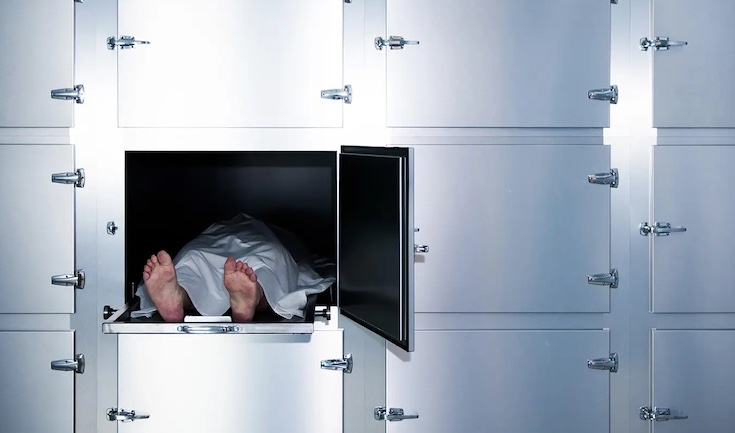 two teens who dropped dead after Pfizer jab had myocarditis, autopsy finds