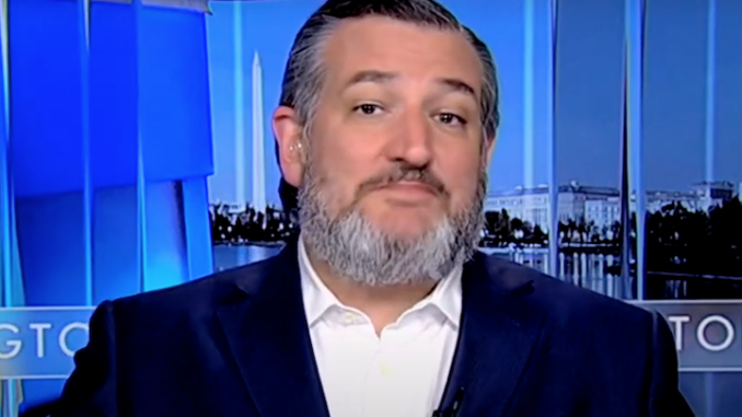 Ted Cruz says Democrats are turning a blind eye to child rape at the border
