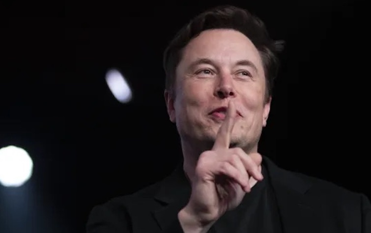 Elon Musk begins banning anybody on Twitter who criticizes transgender violence
