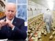 President Biden announces plan to pump mRNA vaccines into millions of chickens