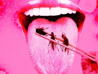 Italy and Hungary pass law banning WEF bug eating agenda