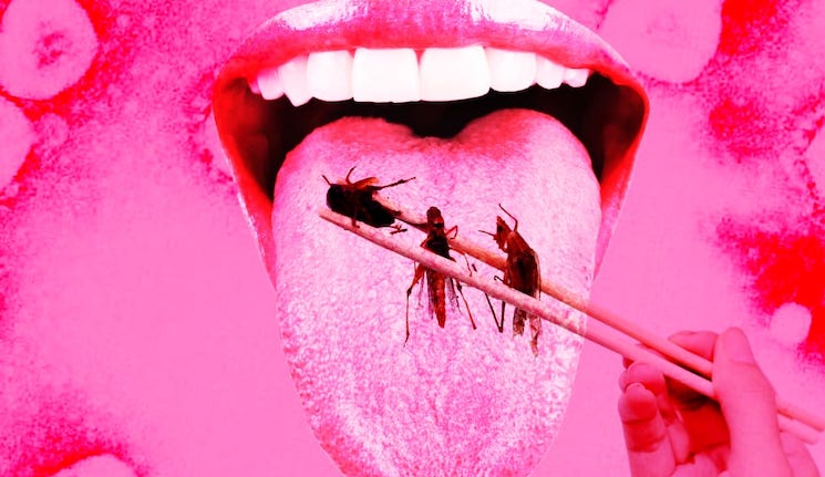 Italy and Hungary pass law banning WEF bug eating agenda