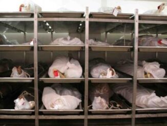 Scientists baffled at biggest jump in excess deaths in 100 years