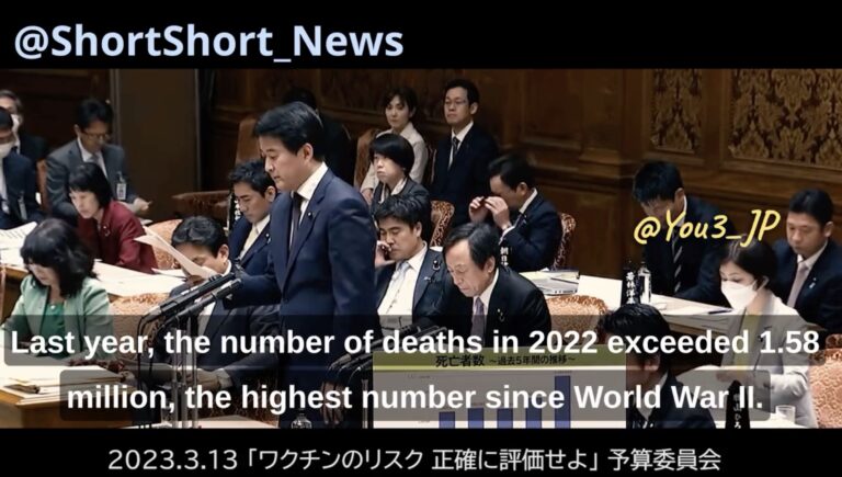 excess deaths Japan