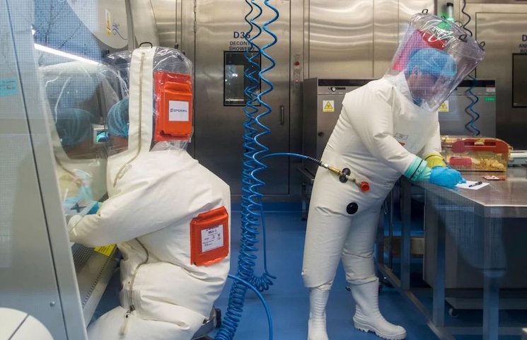 Majority of Americans believe COVID was leaked from a lab