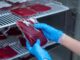New will will ban unvaccinated from giving blood due to dangerous spike proteins