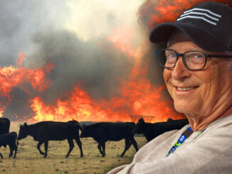 Bill Gates delighted as mysterious explosion kills 18,000 cows at Texas farm