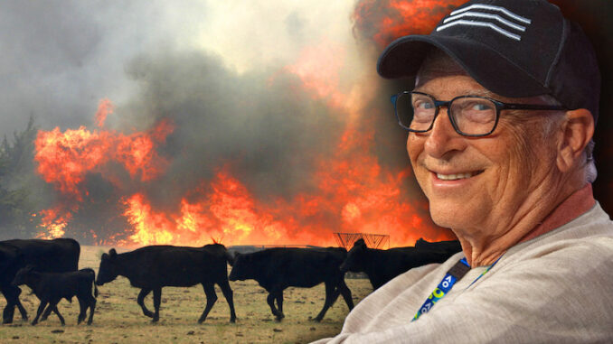 Bill Gates delighted as mysterious explosion kills 18,000 cows at Texas farm