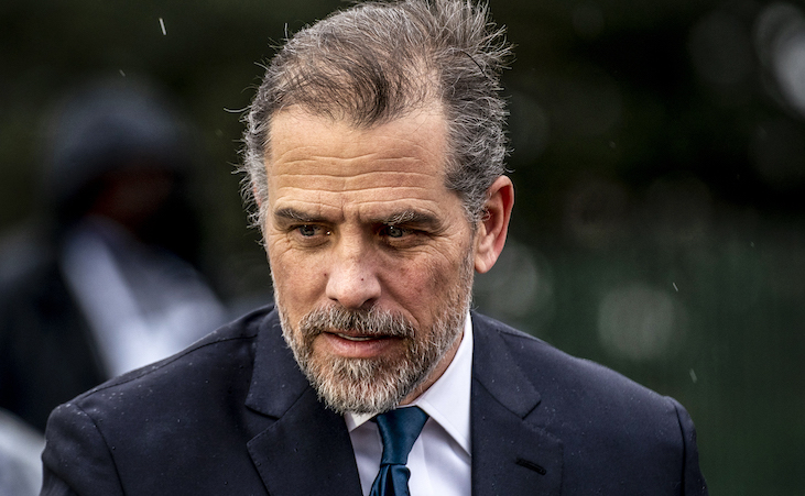 Feds preparing multiple felony charges against Hunter Biden