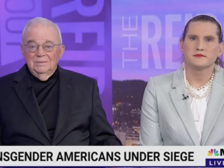 MSNBC declares guns the new moloch