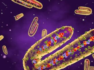 CDC warns Marburg virus poses new pandemic risk