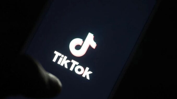 Pedophiles using TikTok to lure children, expert warns