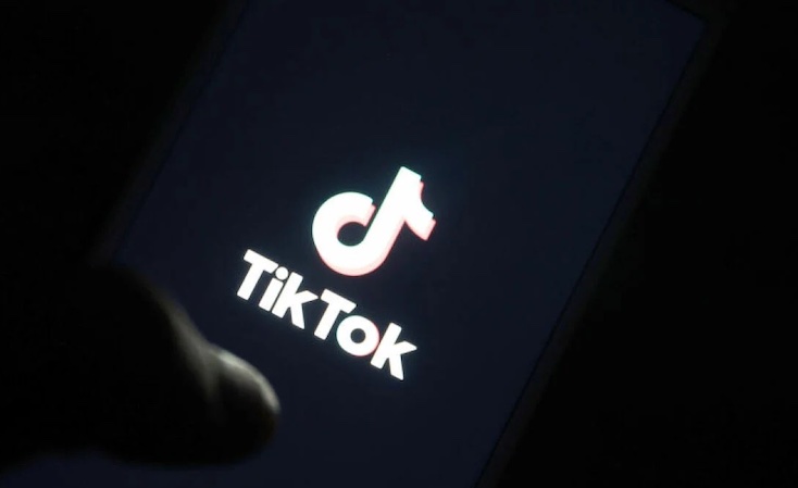 Pedophiles using TikTok to lure children, expert warns