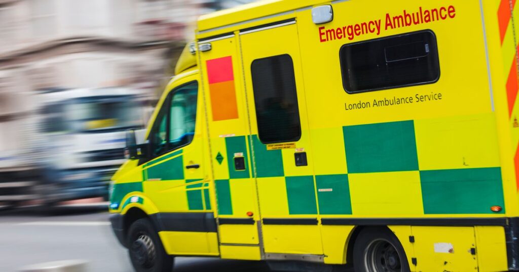 excess deaths