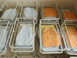 British government say that declining birthrates represent a massive threat to Western society