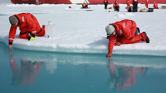 Leaked UN report reveals temperature hasn't risen in 15 years- 'climate change is fake'