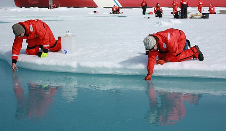 Leaked UN report reveals temperature hasn't risen in 15 years- 'climate change is fake'