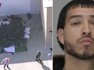 Evidence reveals Deep State behind nazi mass shooter conspiracy