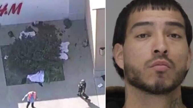 Evidence reveals Deep State behind nazi mass shooter conspiracy