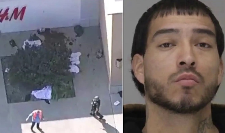 Evidence reveals Deep State behind nazi mass shooter conspiracy