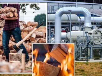 Germany bans citizens from owning wood