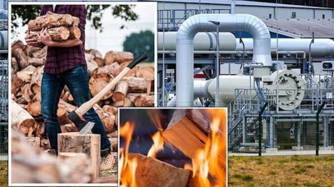 Germany bans citizens from owning wood