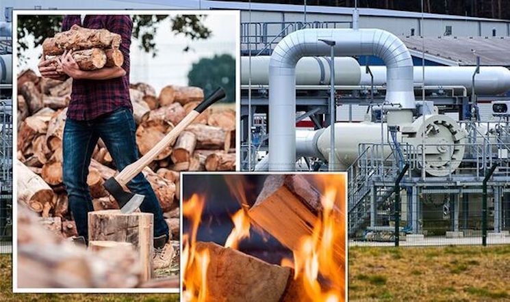 Germany bans citizens from owning wood