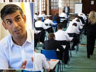 UK PM rishi sunak schools