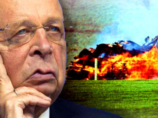 Biden’s Special Presidential Envoy for Climate, the former Senator John Kerry, has declared that it’s time to follow in the Netherlands' footsteps and crackdown on privately owned farms to fight climate change.