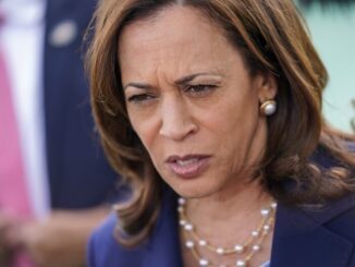 Kamala Harris says its time to hold gun-makers responsible for all gun-related crimes