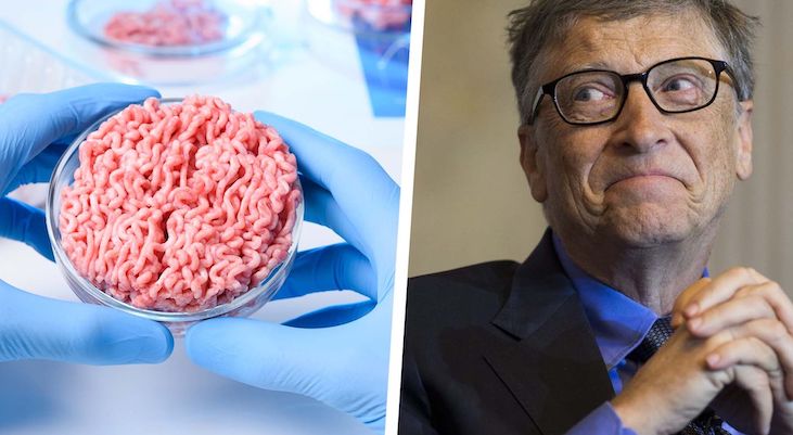 Carbon footprint of Bill Gates' synthetic meat found to worse than ranching, according to study