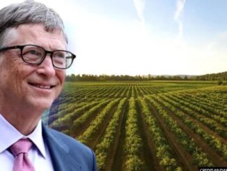 Tusi Gabbard warns that Bill Gates chemicals sprayed on crops are causing transgender epidemic