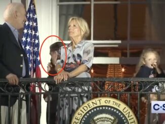 Hunter Biden caught doing coke on White House balcony during July 4th celebrations