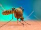 CIA caught conducting mosquito experiments in India