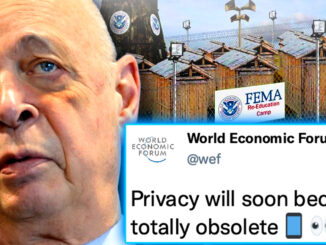 The World Economic Forum has been quietly granted backdoor access to billions of cellphones as part of a plot to compile "blacklists" of users who hold "politically incorrect" views and commit "wrongspeak."