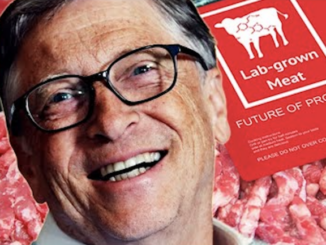 CNN urges viewers to begin eating Bill Gates' lab-grown meat